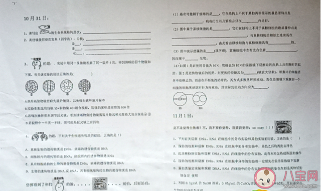 澳门正版资料大全免费噢采资,希望本文能为广大研究者和爱好者提供有益的参考