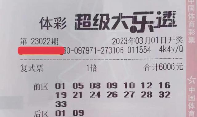 新澳2024今晚开奖资料,彩票本质上是一种随机事件