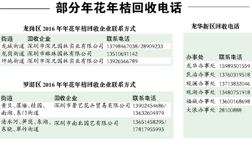 高效利用“新奥门免费正版资料”：信息获取与知识增值指南