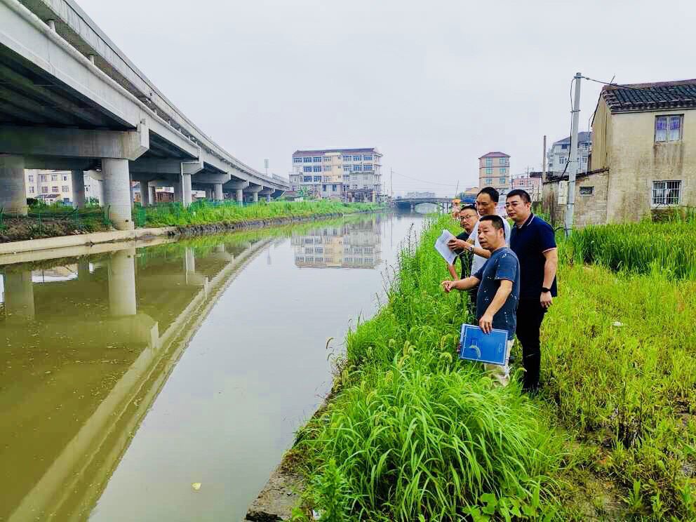 临海市杜桥镇最新动态概览