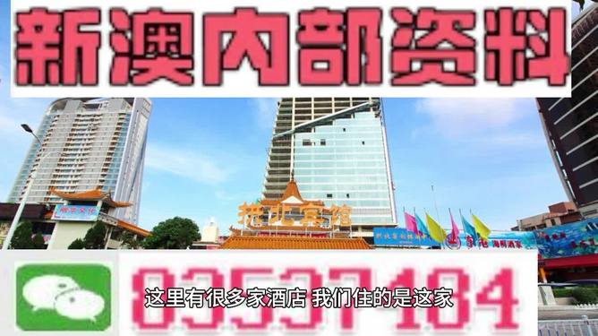 2024正版新奥管家婆香港,狗狗可以吃牛油果吗_黄金版5.111