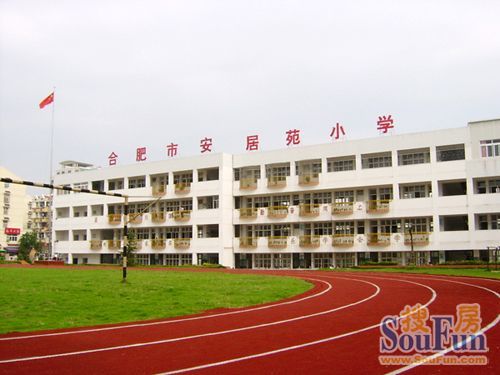 德城区安居苑小学最新动态概览