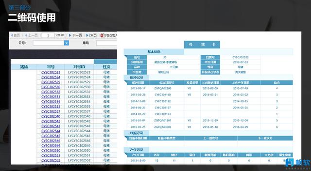 2024澳门特马今期开奖结果查询,高效设计计划_纪念版89.988