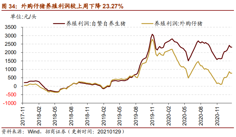 2024香港历史开奖记录,系统化推进策略探讨_AP96.38.87