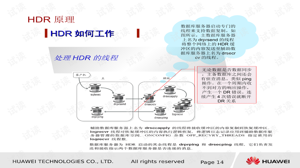 111153金光佛一字解特,数据支持执行方案_HDR版98.310