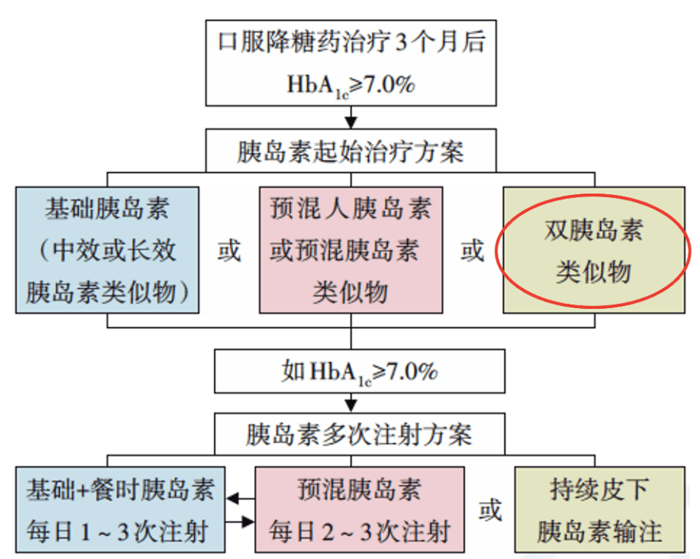 2024年新澳门开采结果,现状解读说明_Holo72.438