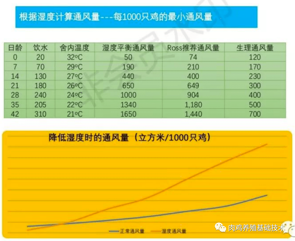 2024新澳今晚资料鸡号几号,专业分析说明_U49.44