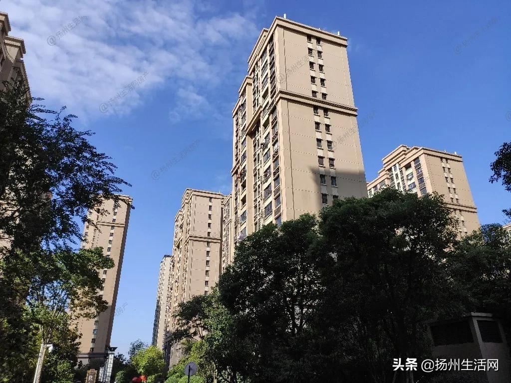 华建雅筑二手房市场深度解析与最新趋势报告