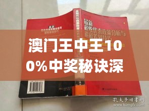 澳门王中王100%期期中,资源整合策略实施_进阶版6.662